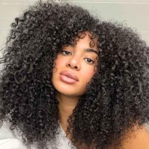 FBS Hair 4x4 Transparent Lace Kinky Curly Wig Tiny Knots